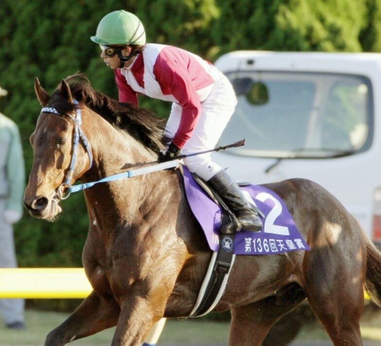 ２００７年の年度代表馬アドマイヤムーンが種牡馬引退　産駒からファインニードルなどＧ１馬も輩出