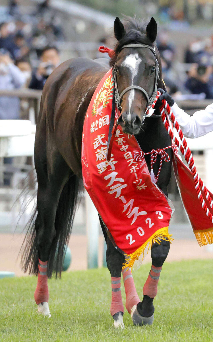 ドライスタウトが競走馬登録抹消　２１年全日本２歳優駿など重賞３勝　今後はブリーダーズＳＳで種牡馬に