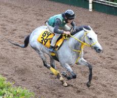 土曜京都競馬場の注目激走馬…京都１１Ｒベテルギウスステークス（Ｌ）