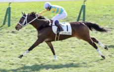 【京都５Ｒ・２歳新馬】ムーンライトラガーが大外一気で快勝　荻野琢真騎手「思った以上にバシッと切れました」