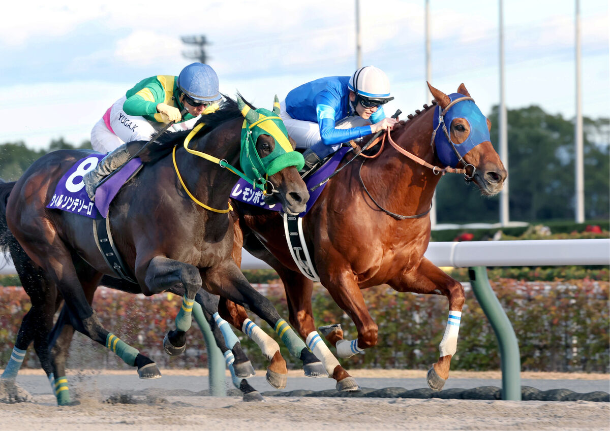 【２０２４年レース回顧】有終の美を飾ったレモンポップにありがとう　思い出した初めての出会いの日