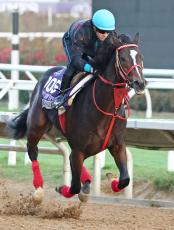 【２０２５年注目馬】２歳ＪＲＡレコードの快速馬エコロジークはレース選択にも注目