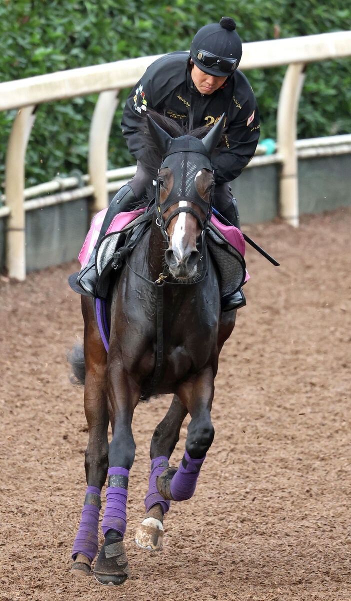 【２０２５年注目馬】今年の友道厩舎は牝馬に注目　「キタサンブラック配合」のカムニャックはまだ見限れない