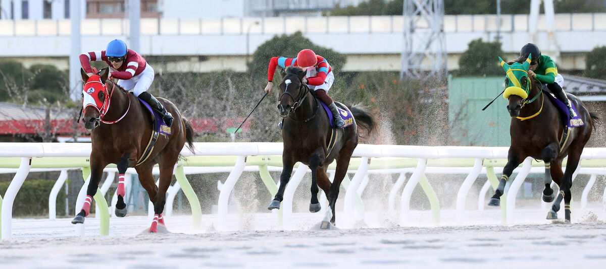 【東京大賞典】ウィルソンテソーロ２着でＧ１級２勝目お預け　川田将雅騎手は連覇ならずもねぎらい「よく頑張りました」