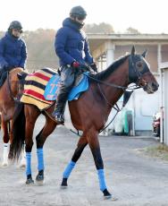 【中山金杯】「有馬記念を使うつもりだったので、十分過ぎるくらい乗り込んでいる」２度目の重賞制覇へ実力馬が挑む