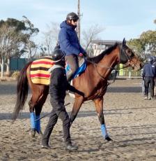 【中山金杯】ハンデ５９・５キロの天皇賞・秋３着馬　陣営「もっと重くしておけばよかったと思われるレースを」克服期待