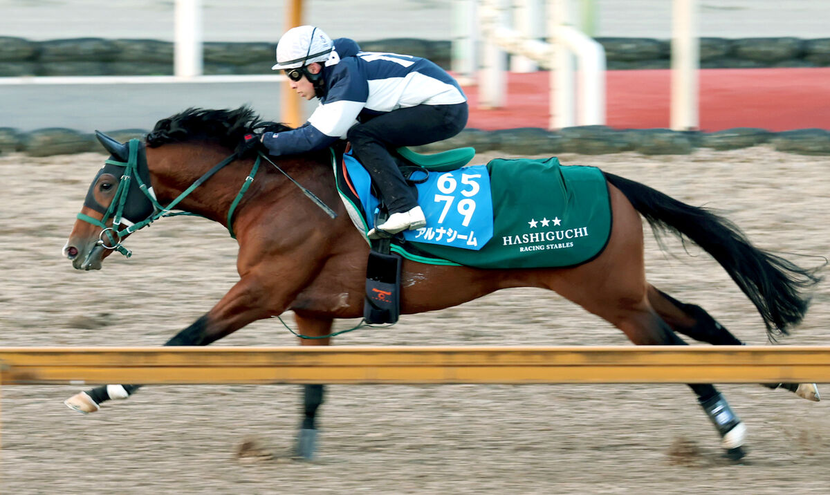 【中山金杯】アルナシームはＣＷコースでキビキビした動き　藤岡佑介騎手「しまいまで集中力を保っていた」