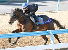 【中山金杯】ボーンディスウェイは馬なりで軽快なフットワーク　木幡巧也騎手「昨年よりもいい」