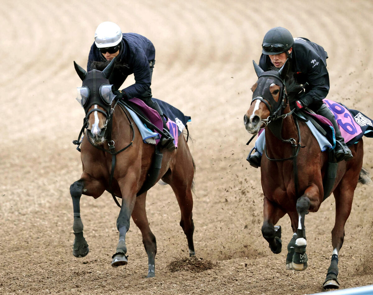 【フェアリーＳ】メジャー移籍の菅野智之投手の父の愛馬が順調な仕上がり　Ｇ党のジョッキーも好感触