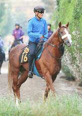 新年恒例ダービー馬予想　坂本・新馬で非凡な切れ味見せた国枝厩舎馬、ヤマタケ・無敗３冠牝馬と流れかぶる素質馬に注目