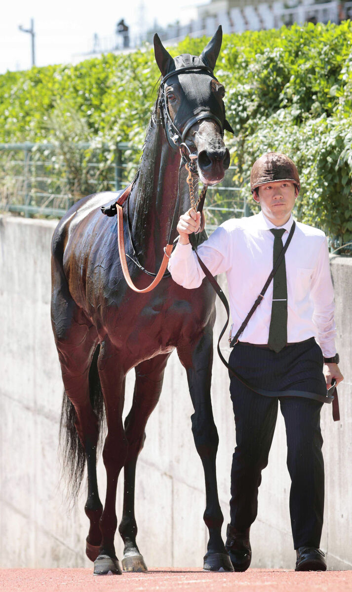 新年恒例オークス馬予想　坂本・宮田師が素質買う長距離志向の馬　ヤマタケ・エルフィンＳが楽しみな友道厩舎期待馬に注目