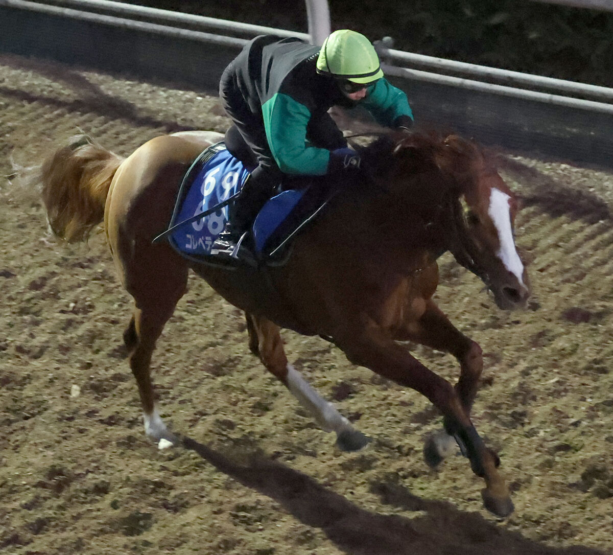 【京都金杯】連覇狙うコレペティトールは６枠１１番　３連勝で重賞初Ｖ目指すウォーターリヒトは大外８枠１６番　枠順確定