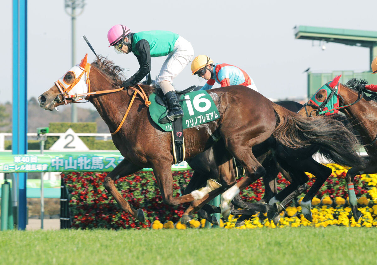 クリノプレミアムが競走馬登録抹消　２２年の中山牝馬Ｓで重賞勝ち　今後は賀張宝寄山育成牧場で繁殖馬に