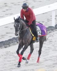 【シンザン記念】ミニトランザットが３頭併せでビッシリ　鮫島克駿騎手「来週はちょうど良くなると思います」