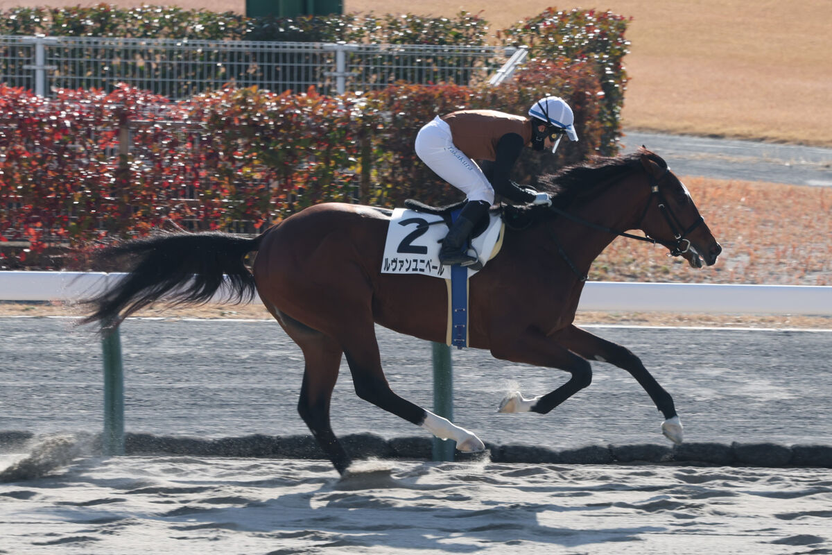 【中京１Ｒ・３歳未勝利】高倉稜騎手＆北出調教師が初笑い　ルヴァンユニベールが今年のＪＲＡ初戦を制す