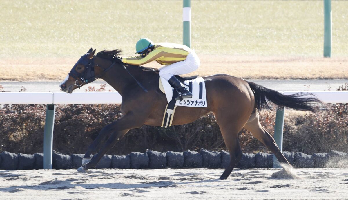 【中山１Ｒ・３歳未勝利】東ではピッツァナポリと大野拓弥騎手が“初笑い”　「幸先いいですね」