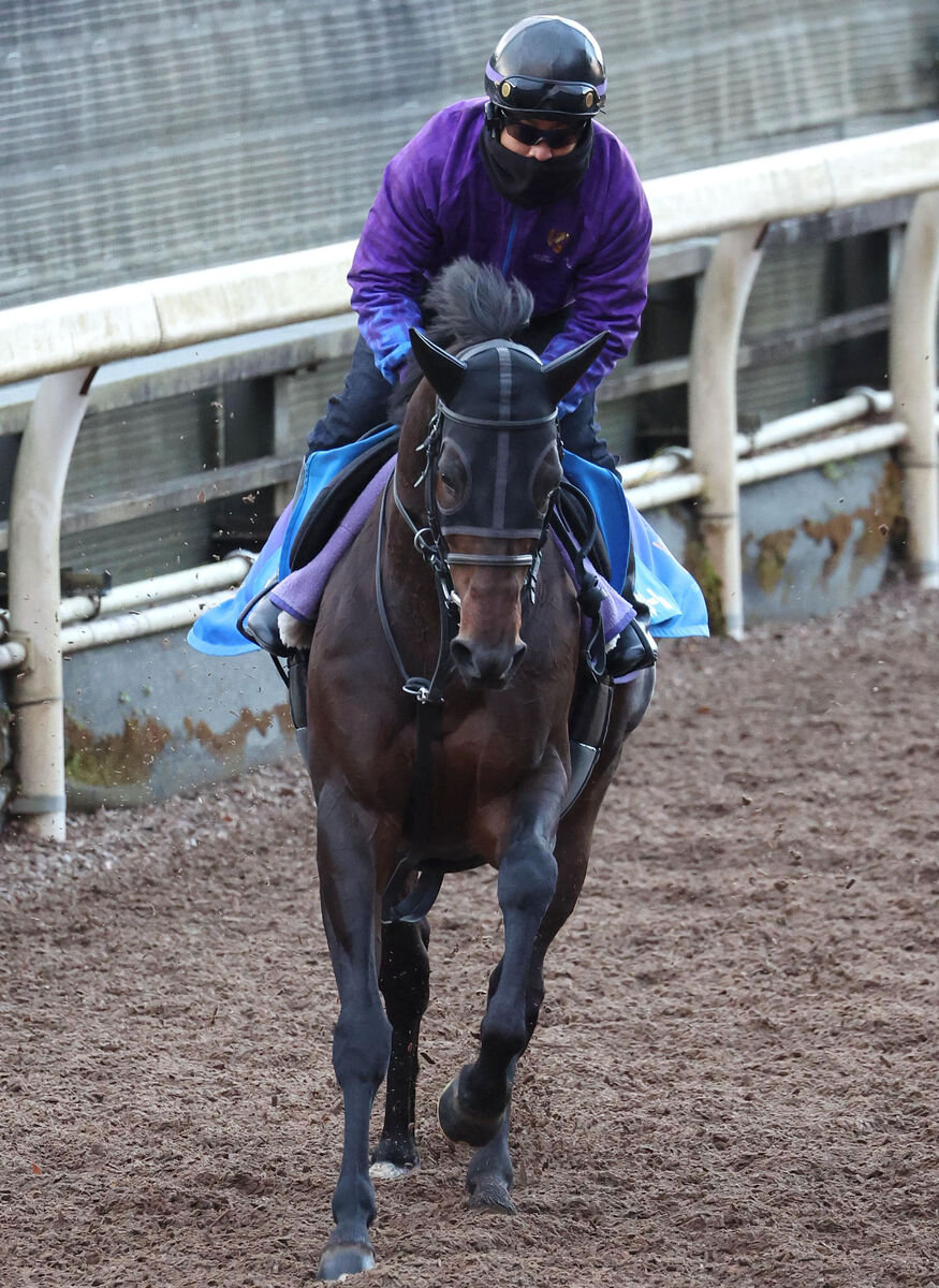 日曜中山競馬場の注目激走馬…中山１１Ｒ中山金杯・Ｇ３