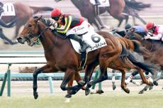 注目の良血馬が経験馬ねじ伏せるデビュー戦Ｖに競馬ファン仰天「こりゃ強いわ」「やばすぎ」