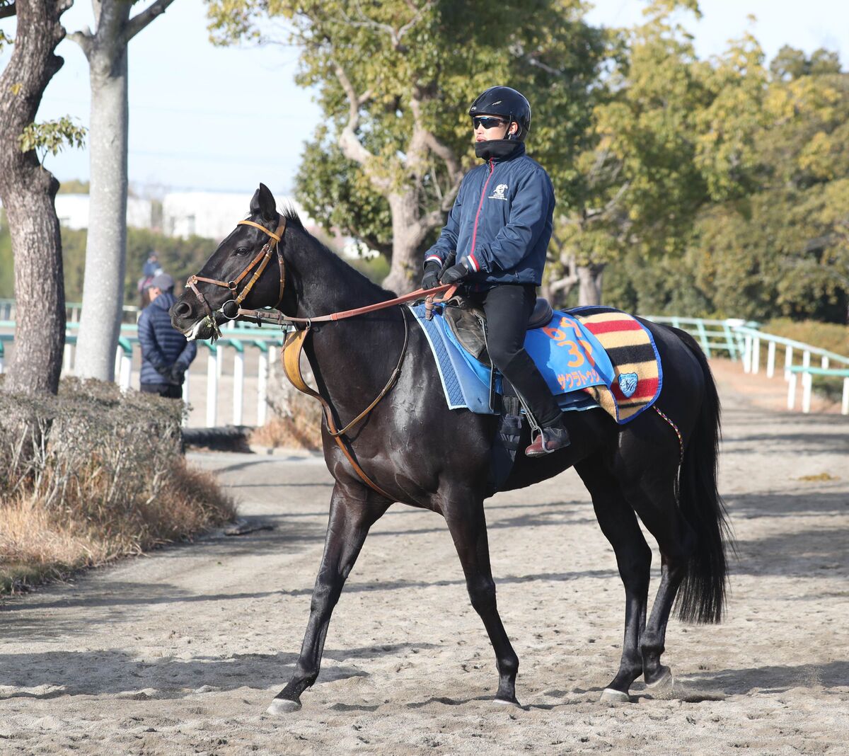 日曜中京競馬場の注目激走馬…中京１１Ｒ・京都金杯・Ｇ３