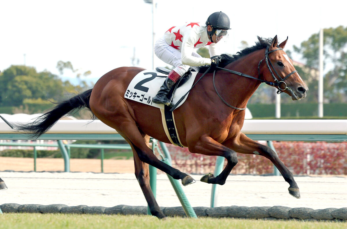 【中京７Ｒ・３歳１勝クラス】ミッキーゴールドがデビュー２連勝　池江調教師「クラシックが楽しみ」