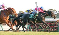 【京都金杯】サクラトゥジュール８歳馬初Ｖ　来日初日の女性騎手、キング騎手鮮やか重賞３勝目