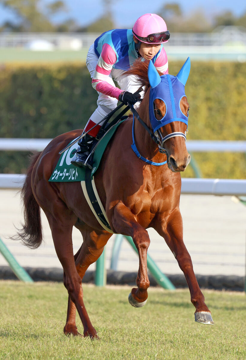 【京都金杯】ウォーターリヒトが大外枠から首差２着「流れに乗るのが難しかった」田辺裕信騎手