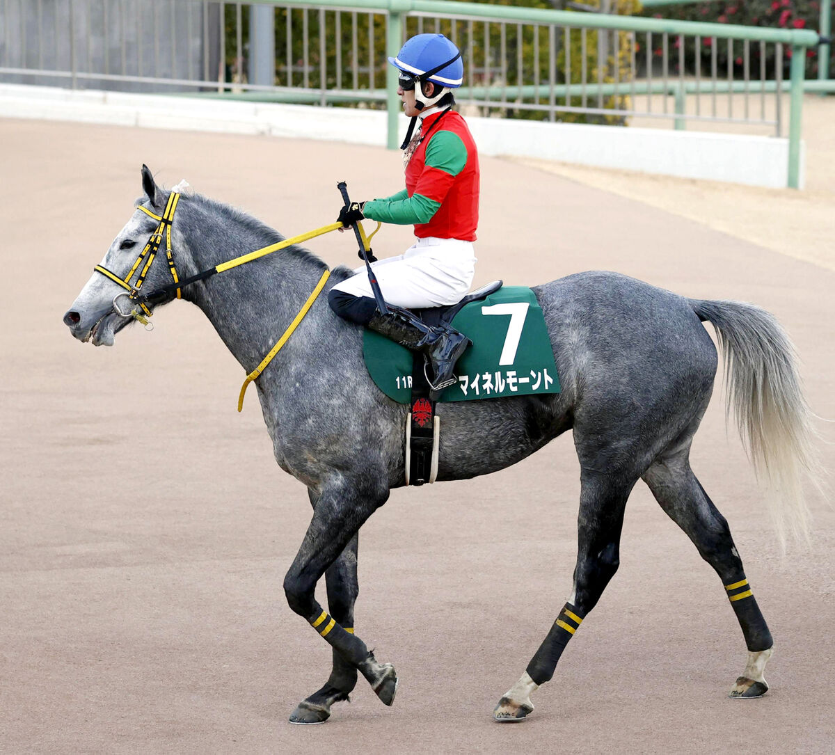 【中山金杯】マイネルモーントがゴール前で伸びて２着　丹内祐次騎手「やっぱり中山は走りますね」