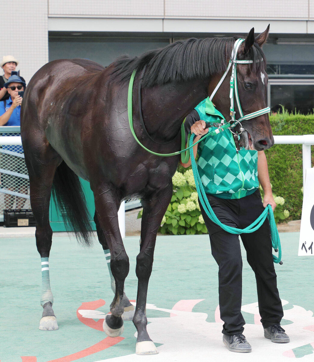 月曜の注目激走馬３選…好調のキング騎手は人気薄でも狙いたい