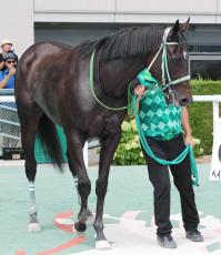 月曜の注目激走馬３選…好調のキング騎手は人気薄でも狙いたい