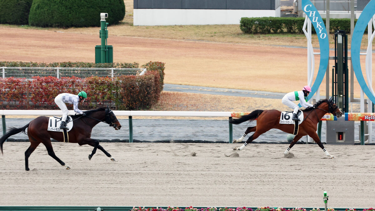 【中京３Ｒ・３歳新馬】フィリップバローズがデビュー勝ち　ドウデュースの半弟エンダードラゴンは２着