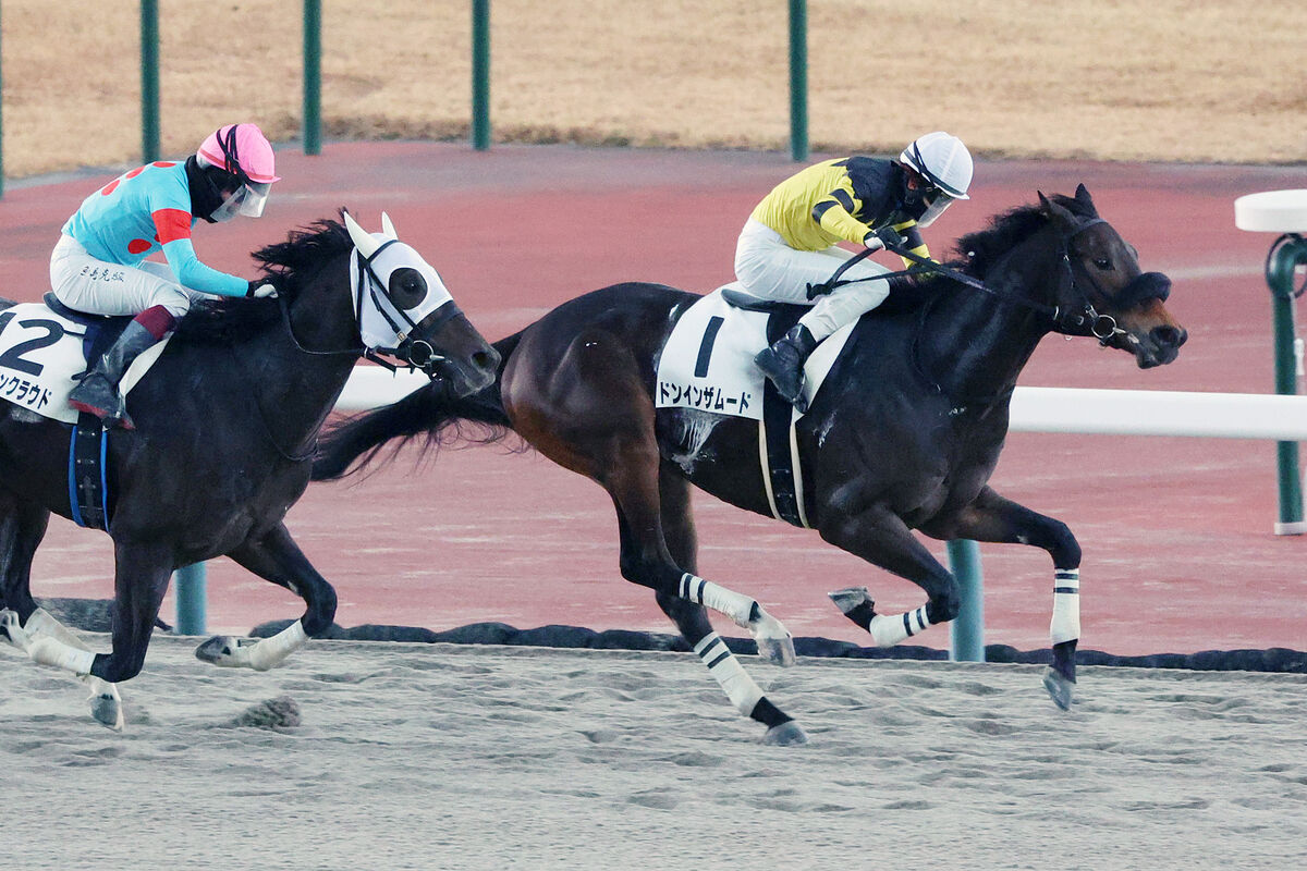 ダートの怪物候補が単勝１・１倍でまさかの失速に「何があったんや？」「飛ぶのは想定外」「新時代の怪物候補が…」