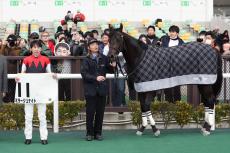 【中京５Ｒ・３歳未勝利】武豊騎手が２５年初勝利　ミラージュナイトで逃げ切りＪＲＡ通算４５５４勝目