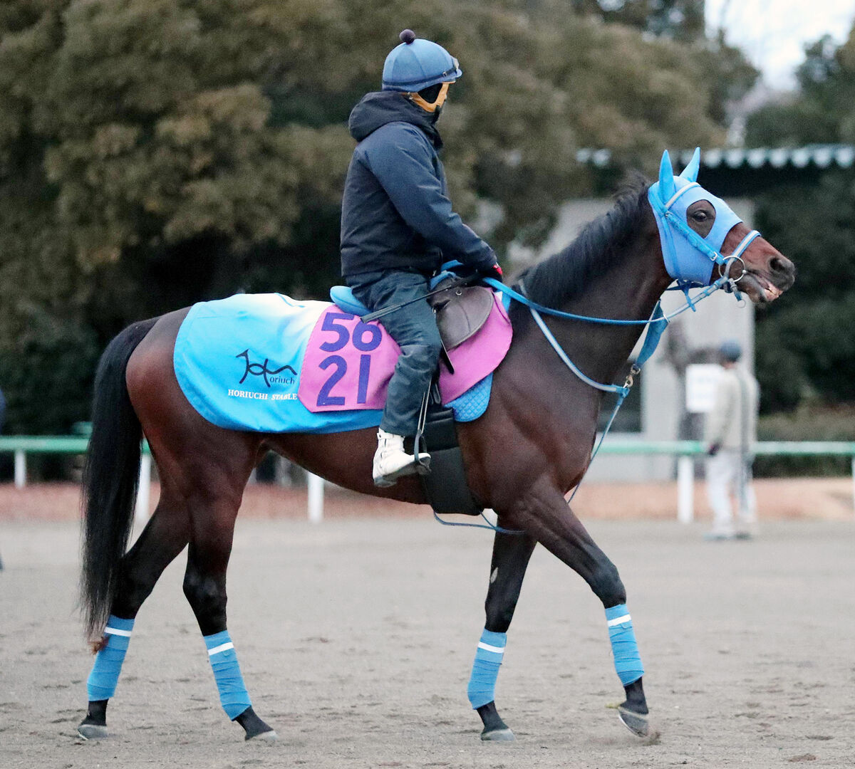 【フェアリーＳ】ミーントゥビーで堀内岳志師重賞初Ｖだ「阪神ＪＦよりいい」