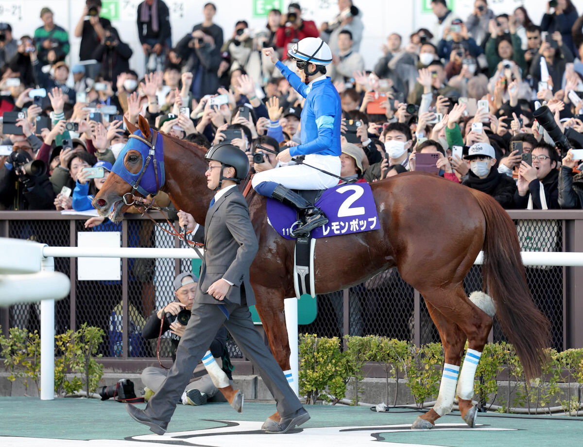 【ＪＲＡ賞】レモンポップが２年連続で最優秀ダートホースに　現役最終年はＧ１級競走３勝