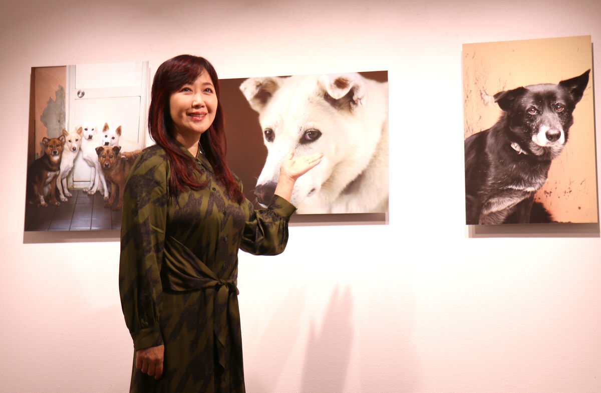 伍代夏子、保護犬を撮影した写真展「見どころは、わんちゃんの目」１・８から両国で開催