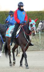 【注目馬動向】２２年南部杯２着などダート重賞戦線で活躍のヘリオスが競走馬登録抹消　地方移籍へ