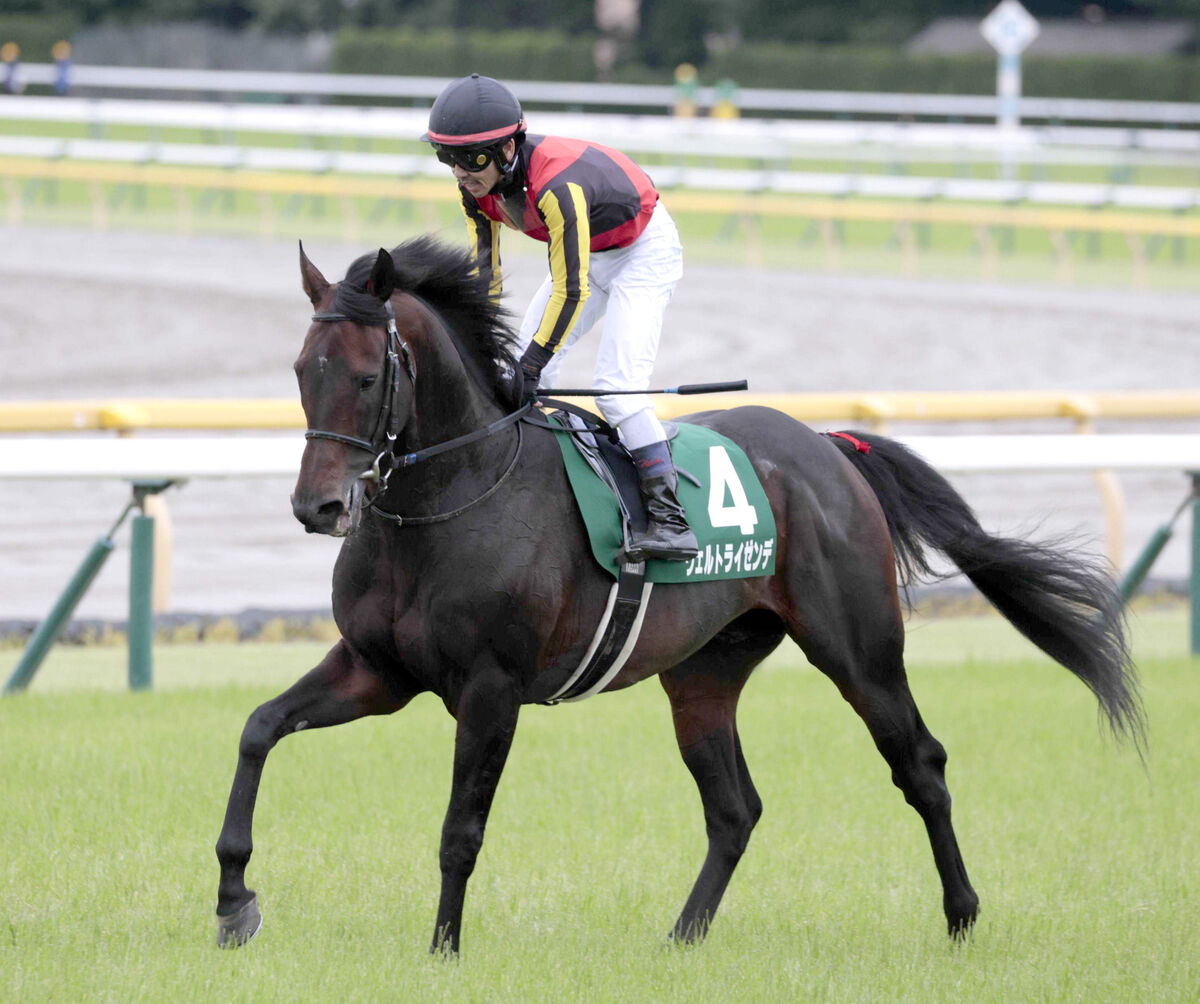 【注目馬動向】８歳馬ヴェルトライゼンデはルメートル騎手との新コンビで日経新春杯へ　昨年６月エプソムＣ以来