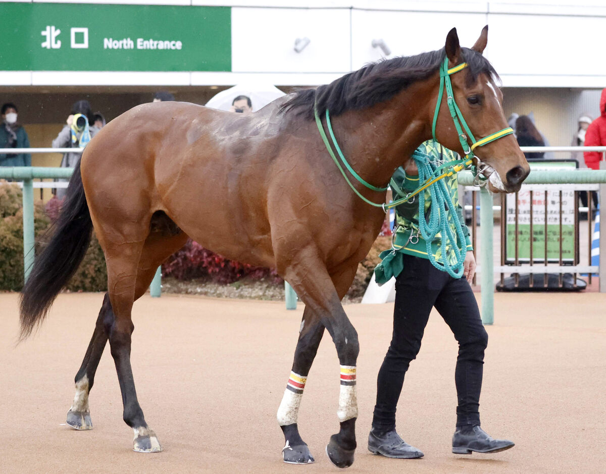 【注目馬動向】ステークホルダーはオーシャンＳで重賞初挑戦　サンライズＳを制してオープン入り