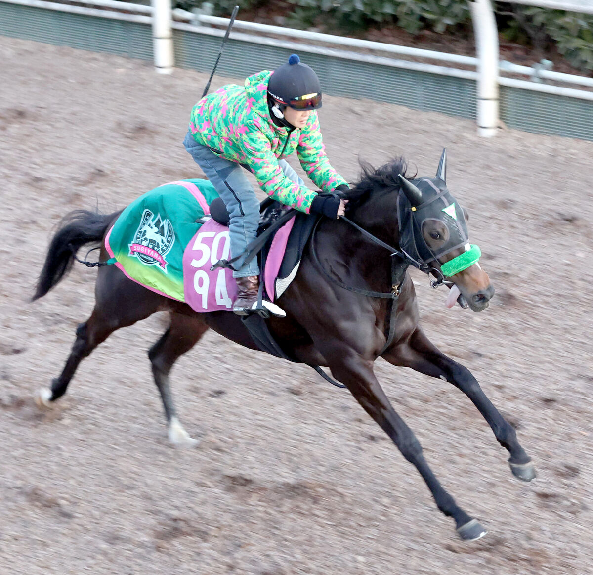 【フェアリーＳ】近親に愛ダービー馬がいるエリカエクスプレスは坂路で気合十分　陣営「芯が入った」