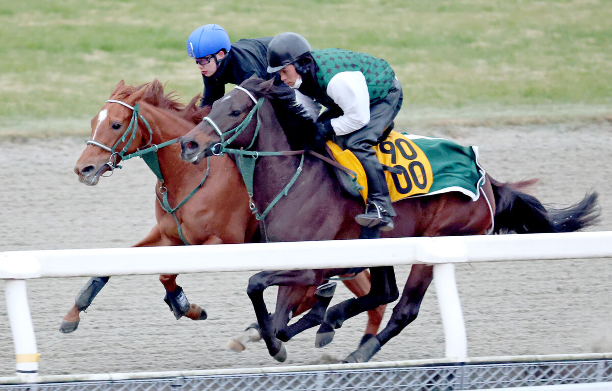 【フェアリーＳ】同舞台で１勝クラスＶのジャルディニエ　斎藤新騎手が２週続けて騎乗「自信を持って乗りたい」