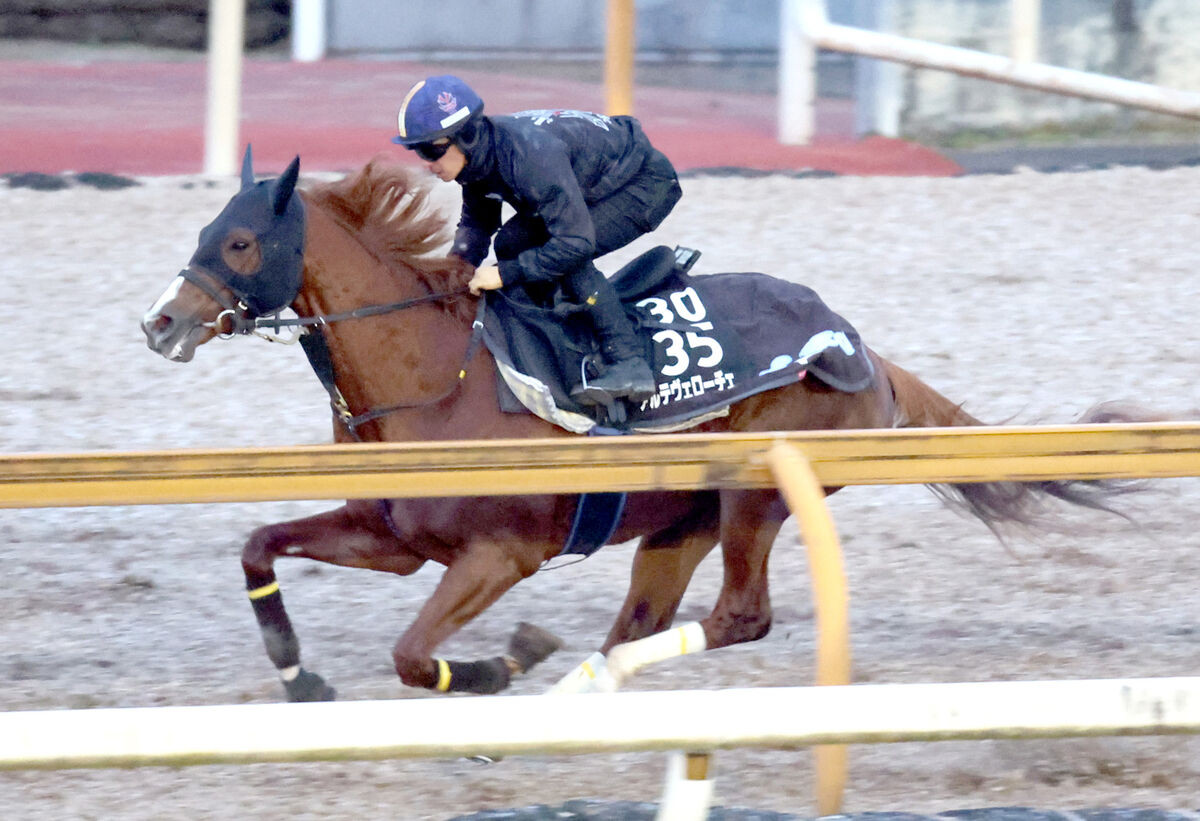 【シンザン記念】アルテヴェローチェは川田将雅騎手騎乗で鋭い伸び　須貝調教師「確認してもらえてよかった」