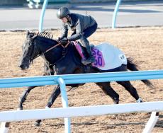 【フェアリーＳ】近親にアーモンドアイがいるシホリーンは除外　９頭が非当選馬に