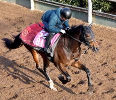 【シンザン記念】福永祐一厩舎のマイエレメントは抽選突破ならず　除外馬発表