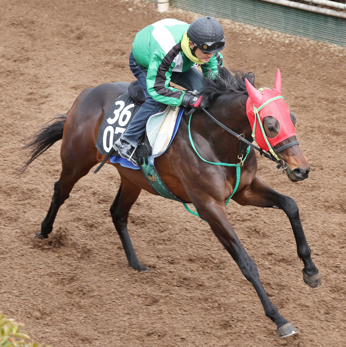 【シンザン記念】重賞で好走続ける有力馬　１週前には自己ベスト記録「毛づやも状態面もいい」宮調教師自信