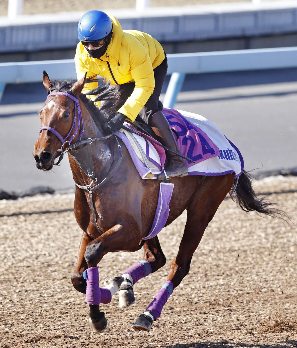 【フェアリーＳ】半年ぶりの実戦に挑む快速馬が約２０キロ増！「まさに成長分です」奥平調教師