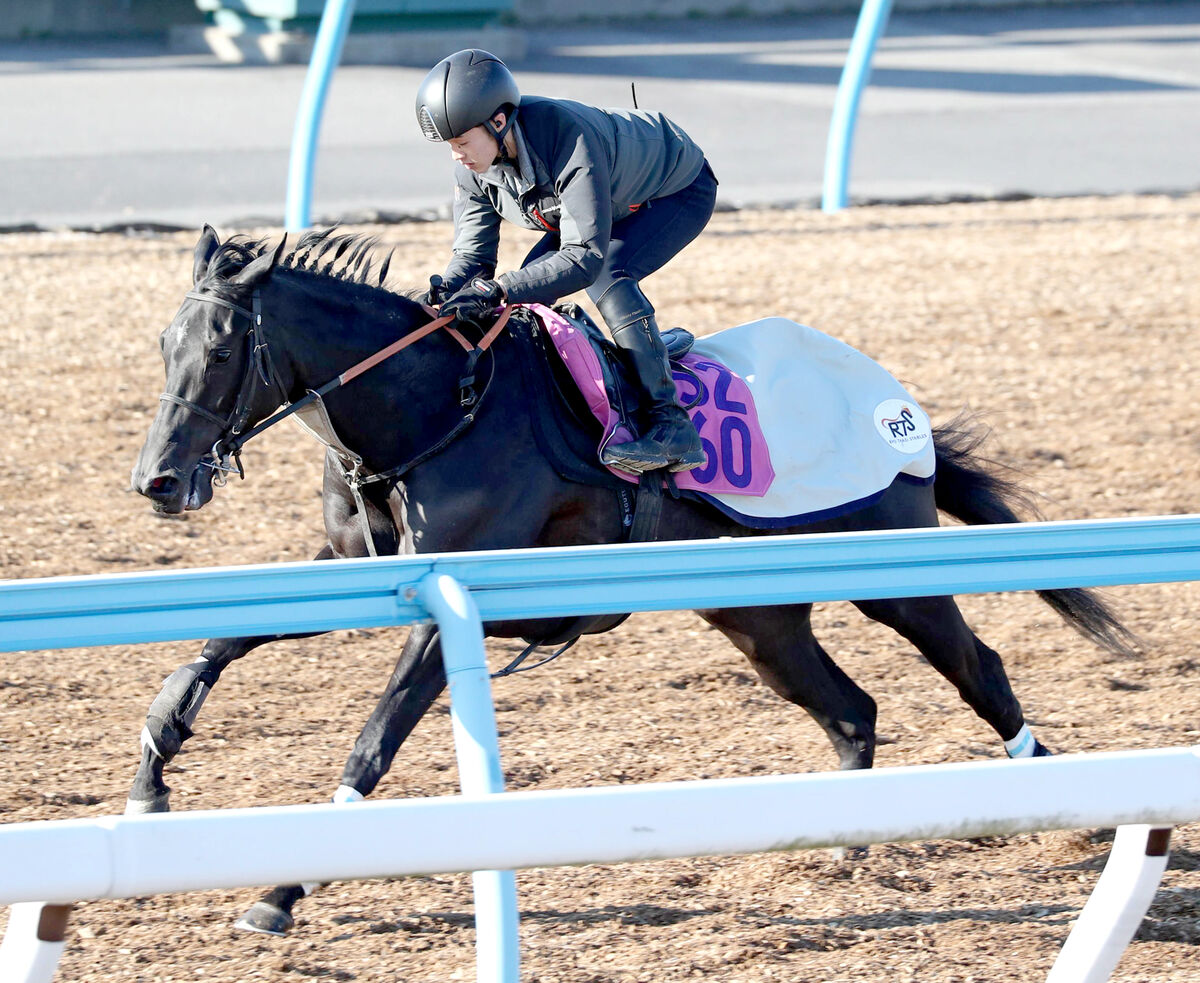 【注目馬動向】フェアリーＳを除外のシホリーンは横山武史騎手で菜の花賞へ