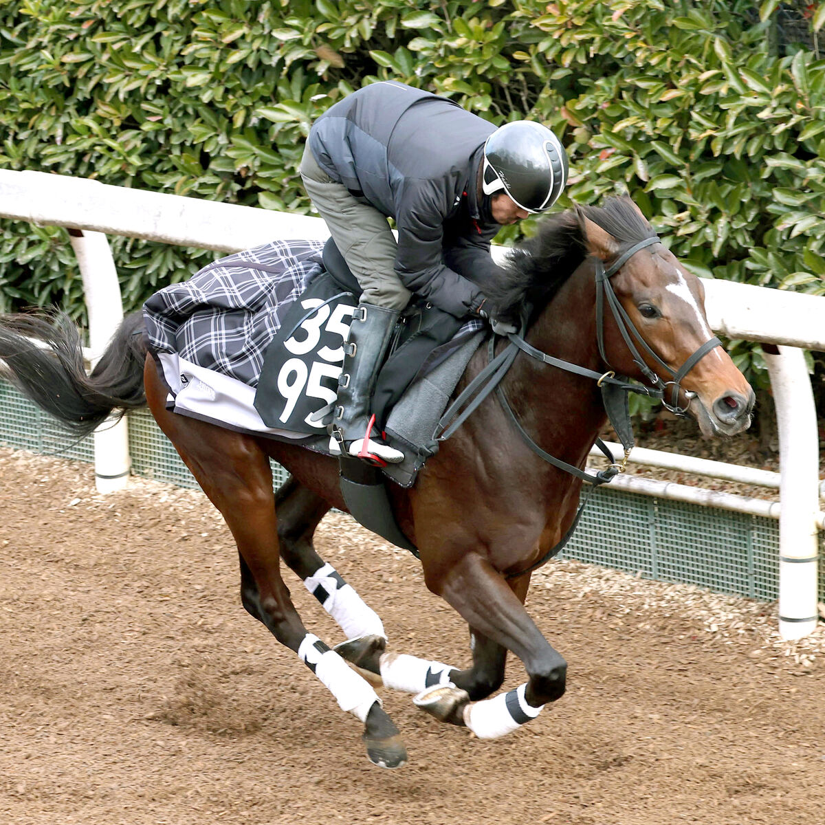 ポッドドンナーがシンザン記念の出走を取り消し　右前肢ハ行のため