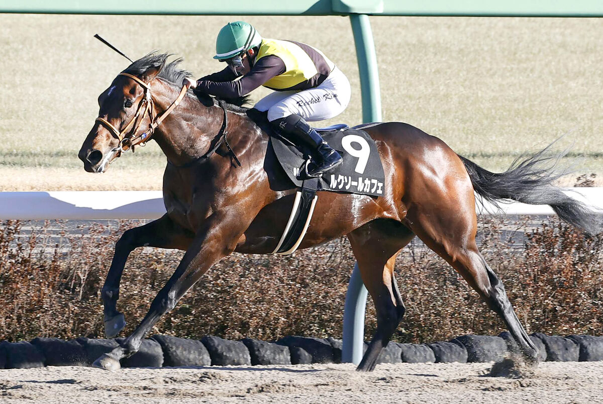 【中山９Ｒ・黒竹賞】ルクソールカフェがポテンシャルだけで５馬身差Ｖ　レイチェル・キング騎手「まだ子供っぽい」