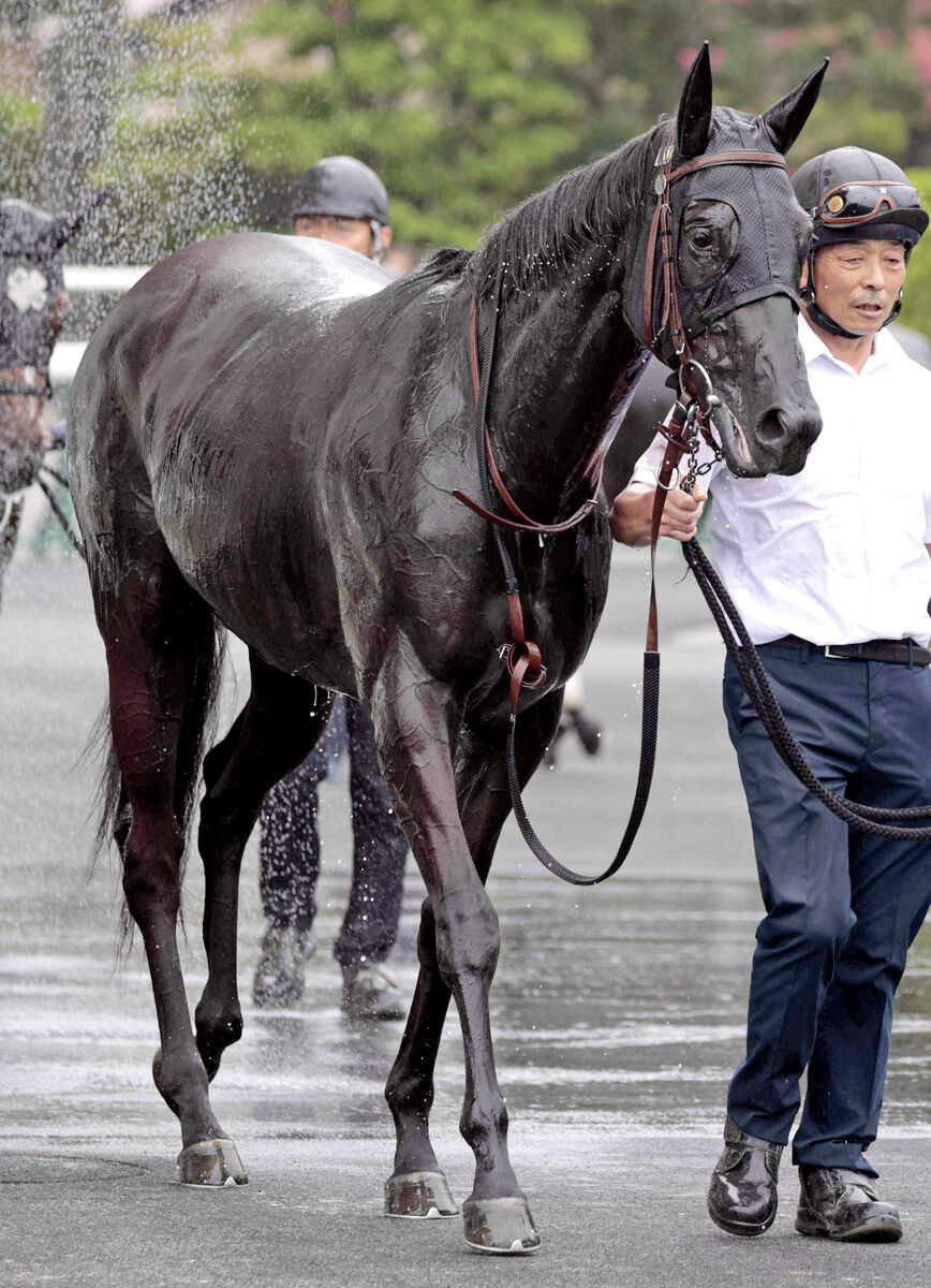 【フェアリーＳ】３連単は全て１００倍超えの混戦！　上位人気は１勝馬が独占　前日オッズ発表