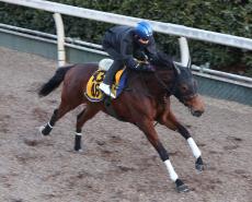 日曜中京競馬場の注目激走馬…中京１１Ｒ淀短距離ステークス（Ｌ）